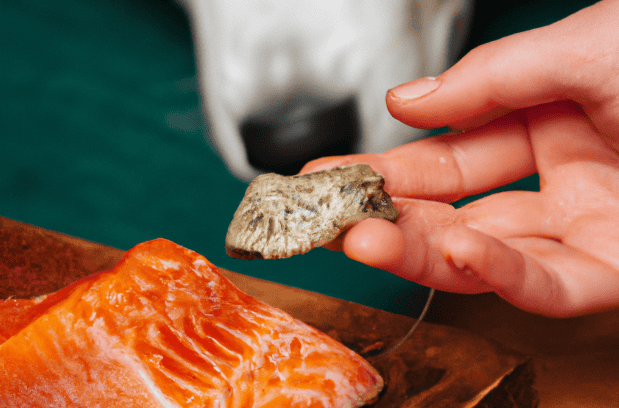Hand slicing fresh salmon for healthy dog treats, high in omega-3 fatty acids.