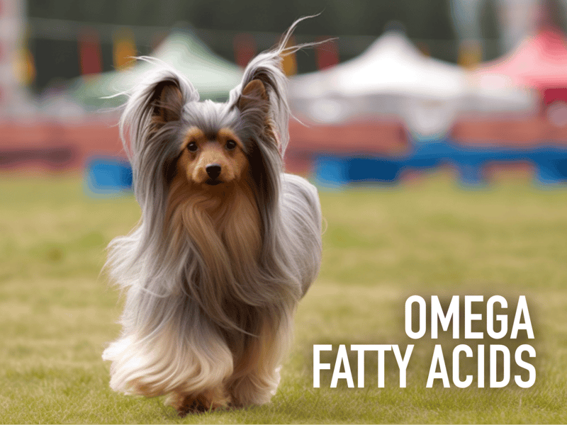 Omega Fatty Acids