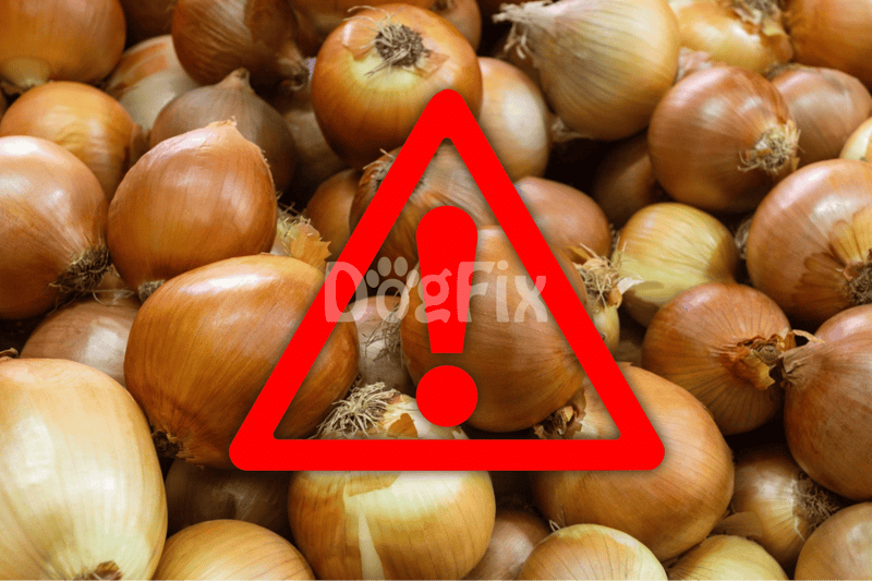 Onions in a pile with warning icon highlighting danger to dogs from toxic food.
