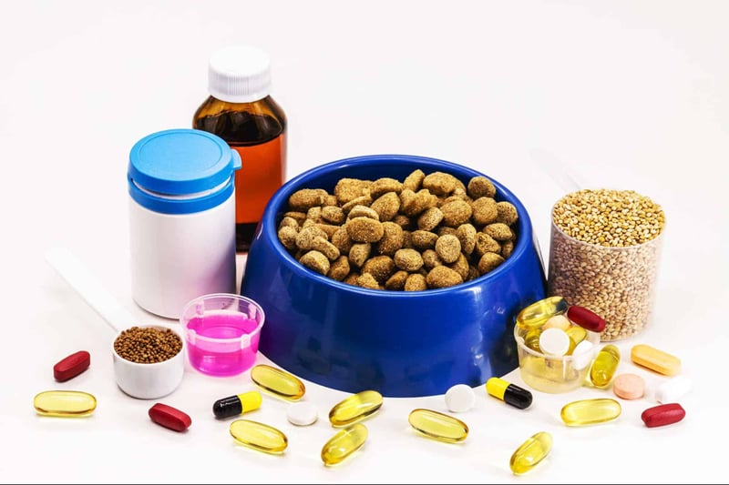 Other Foods and Supplements for Dogs