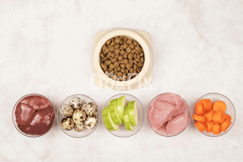 High-quality dog food ingredients with meats, vegetables, and supplements for balanced canine nutrition.