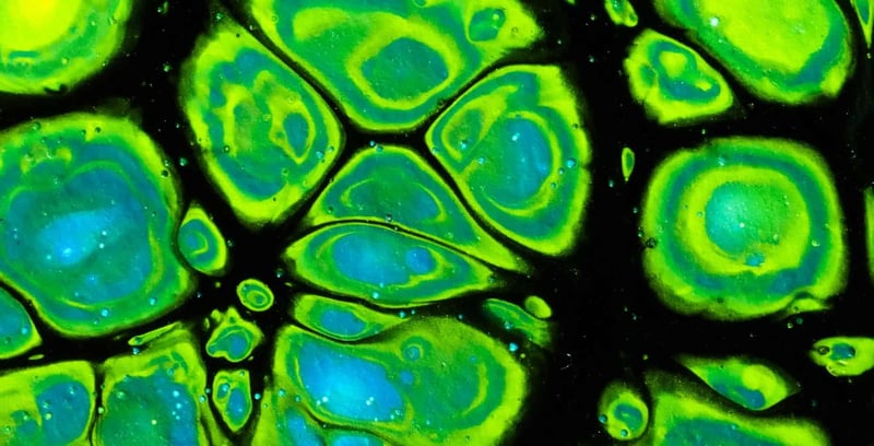 Vibrant abstract painting featuring bright green, blue, and black swirling shapes and splashes.