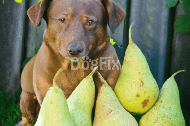 Pears for Pups Your ‘Easy-Pearsy’ Guide to Serving Them Right