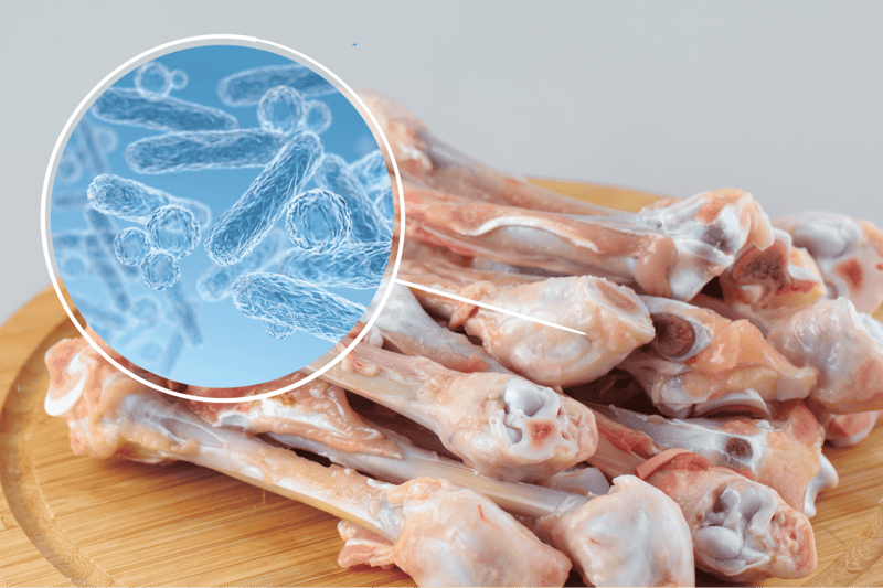Close-up of raw chicken with bacteria, food safety concerns, and hygiene hazards.