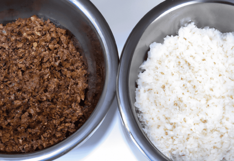 Practical Feeding Guidelines