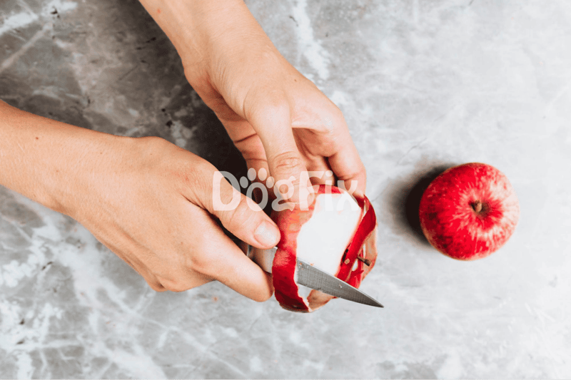 Healthy homemade dog treats with fresh apples from Dogfix.com.