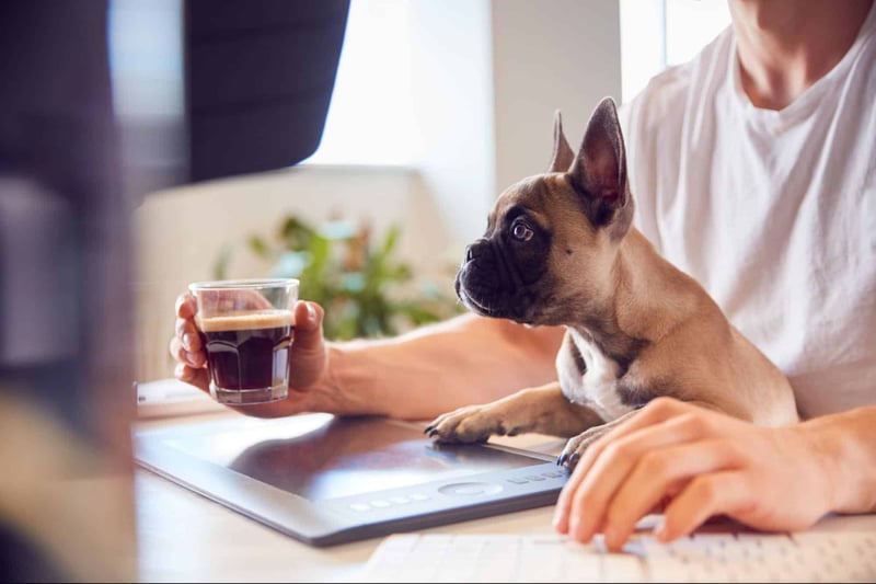 Cute dog with owner using tablet, enjoying coffee at home.
