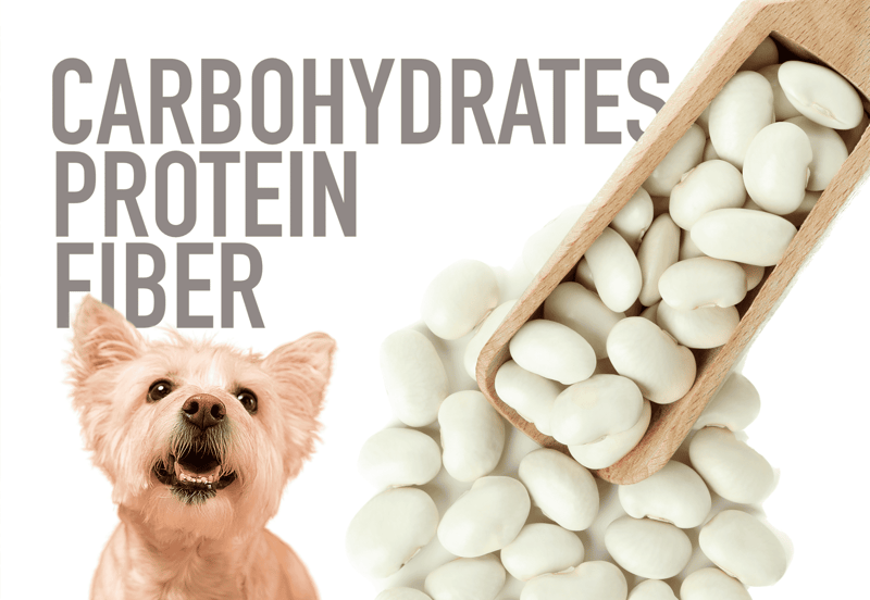 Protein, Fiber, And Carbohydrates