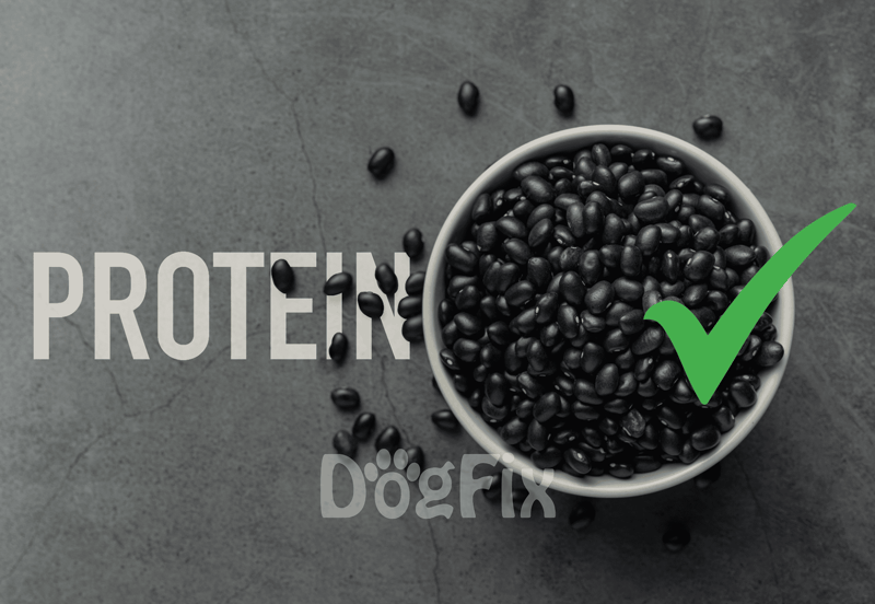 High-protein black beans in bowl for healthy dog nutrition and balanced diet.