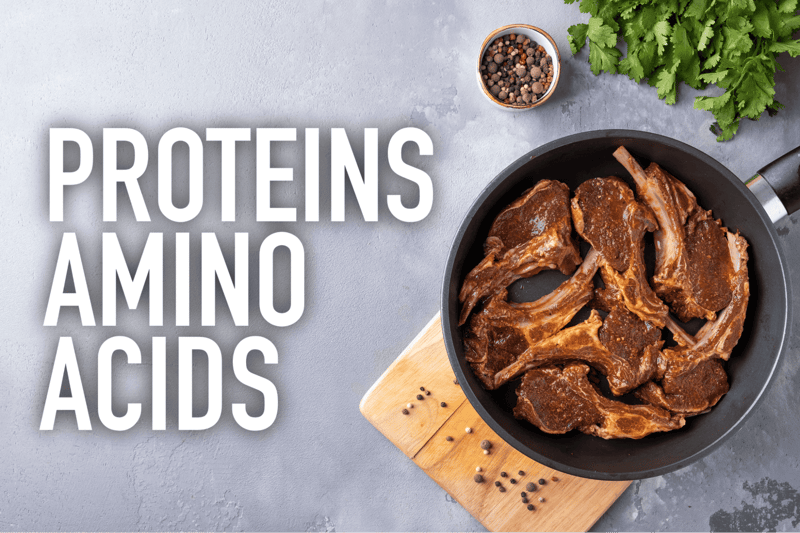 High-quality protein dog bones on skillet, ideal for nutritious dog treats, promotes healthy pet diet.