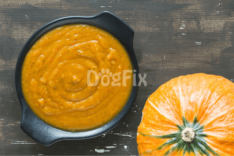 High-quality pumpkin dog treats for health and wellness.
