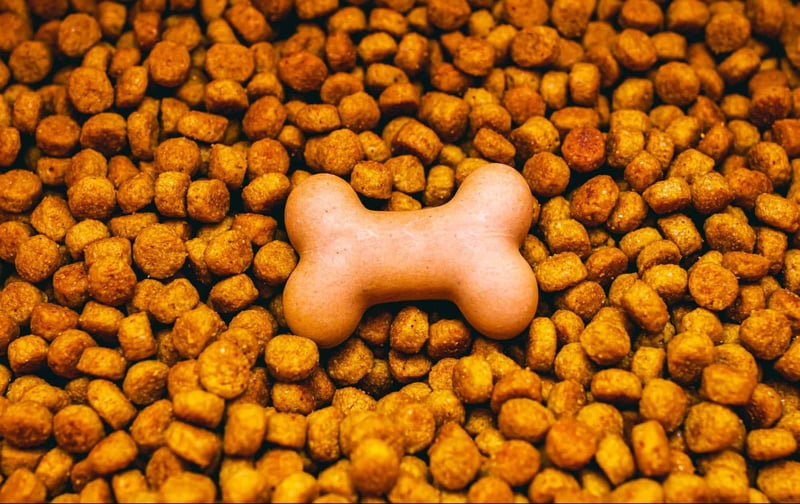High-quality dog kibble with a bone-shaped treat for nutritious and tasty dog food options.