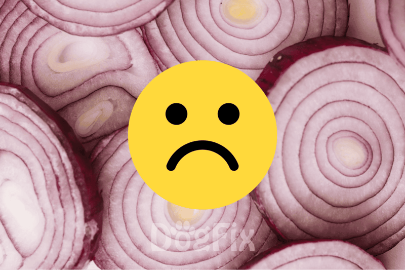 Raw Onions