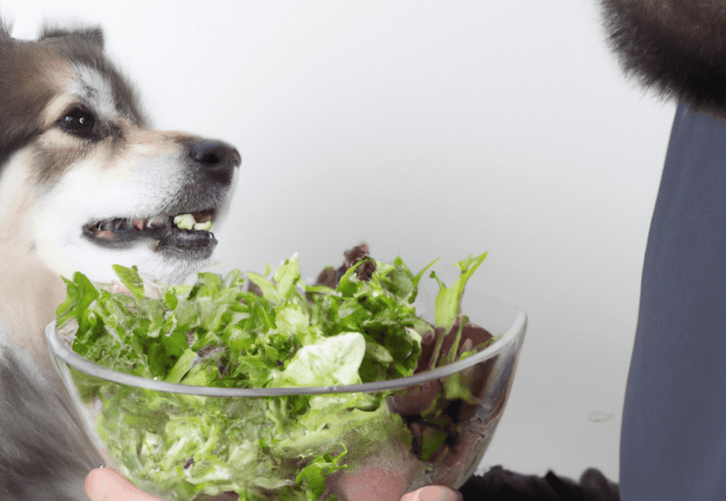 Dog eagerly enjoying a fresh salad with vegetables.