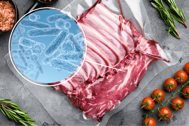 High-quality raw meat for dogs, featuring microbiota bacteria, ideal for balanced pet diets.