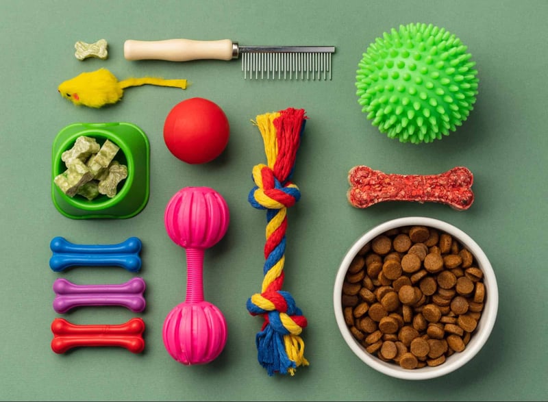 Colorful dog toys, treats, and grooming tools for pets on green background.