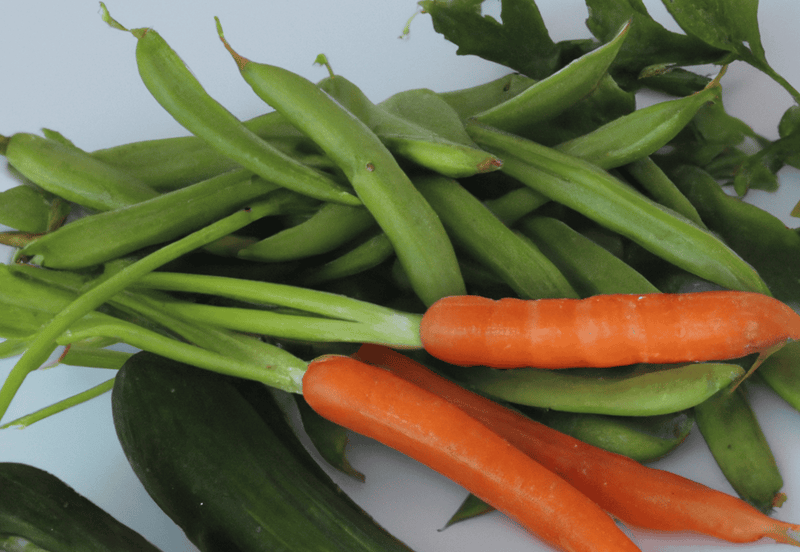 Vibrant green beans and bright carrots as healthy, nutritious treats for dogs and pet care.