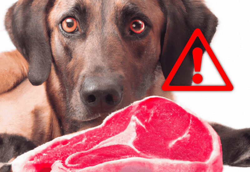 Safety Concerns