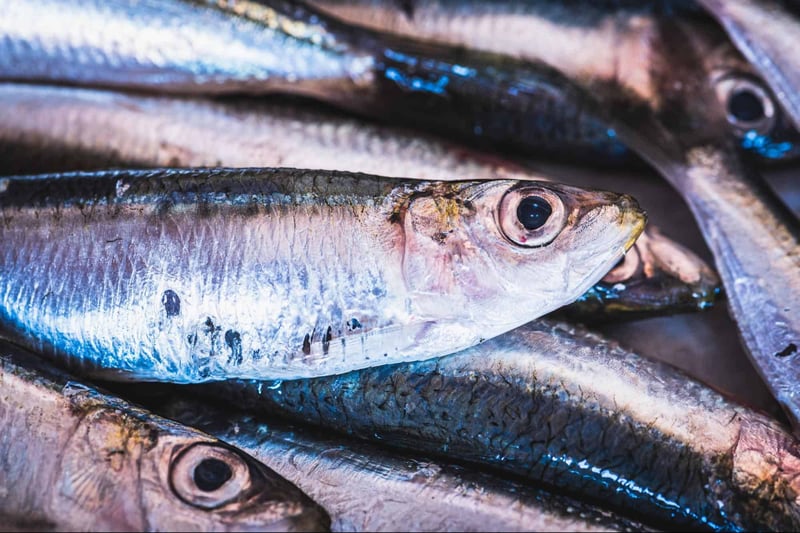 Fresh fish displayed on ice, highlighting seafood options at a local market.