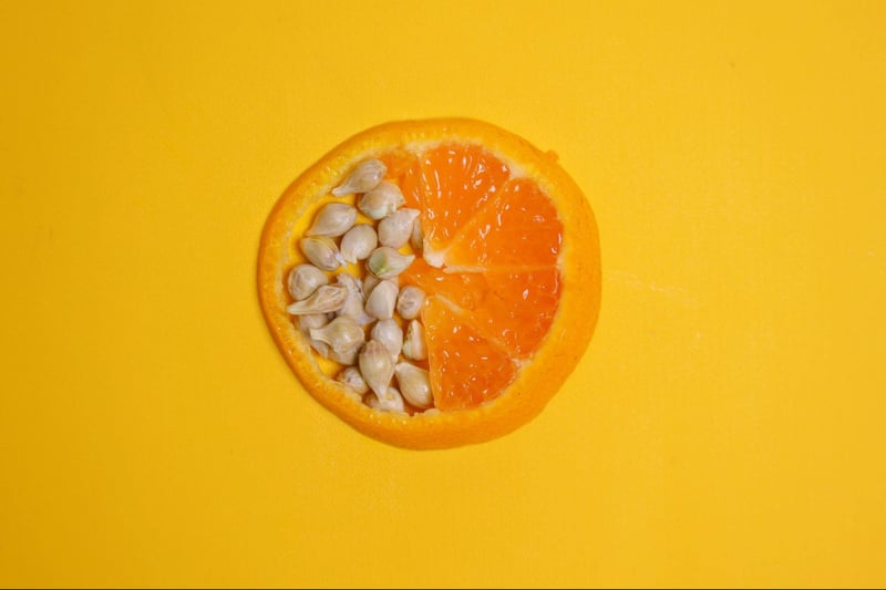 Seeds Mini Troublemakers