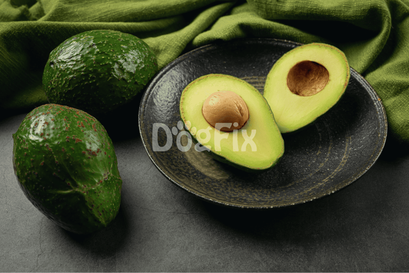 Serving Up Some Avocado Nutrition