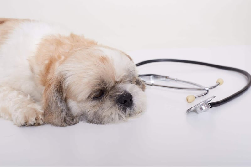 Signs of Food-Related Illness