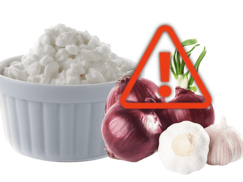 Pet safety alert: onions and garlic are toxic to dogs and should be avoided.