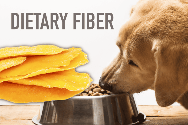 Dog food, healthy dog diet, nutritious dog meals, pet nutrition.
