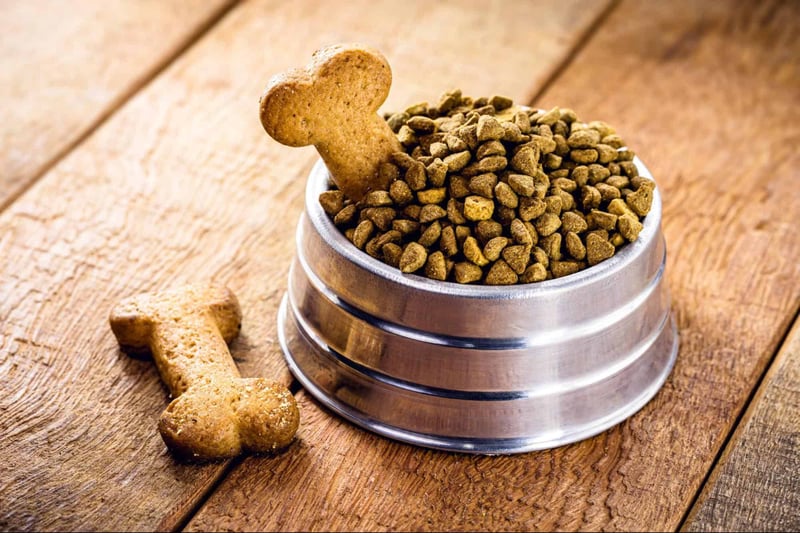 Dog food in stainless steel bowl with bone-shaped dog treats on wooden surface.