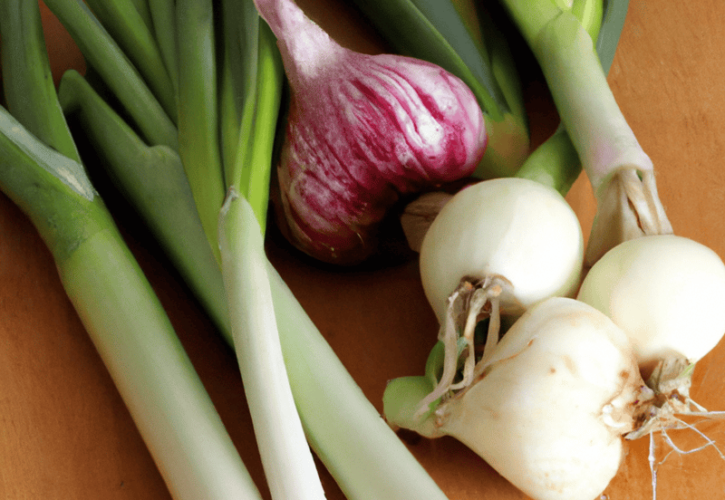 Close-up of green spring onions and garlic bulbs, ideal for homemade dog food recipes.