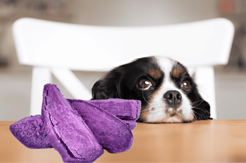 The Benefits of Yams for Dogs
