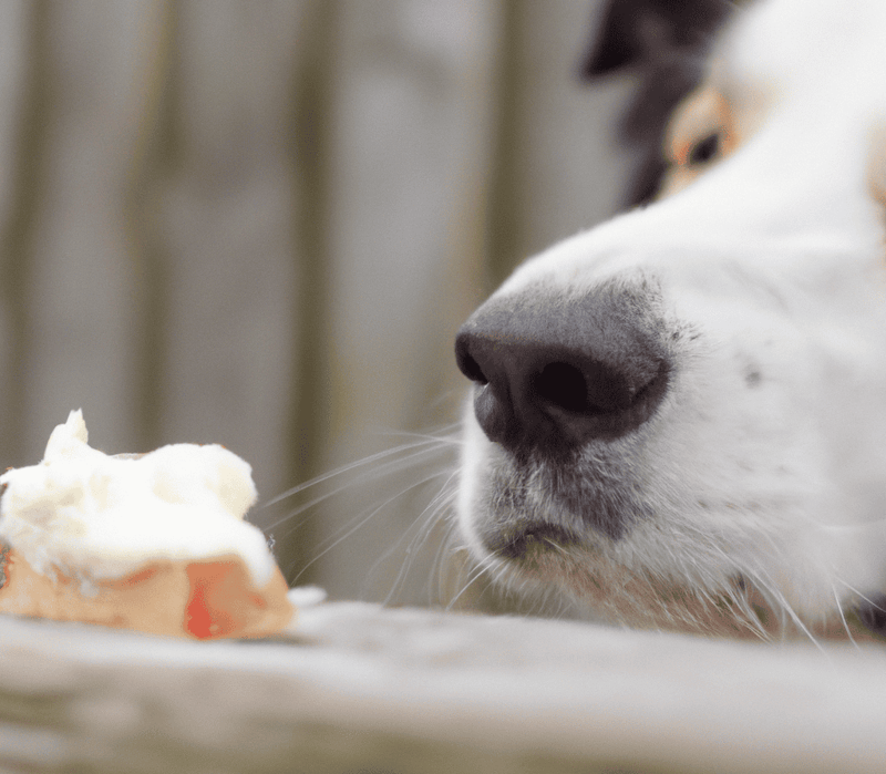 The Cheese Approach in Training