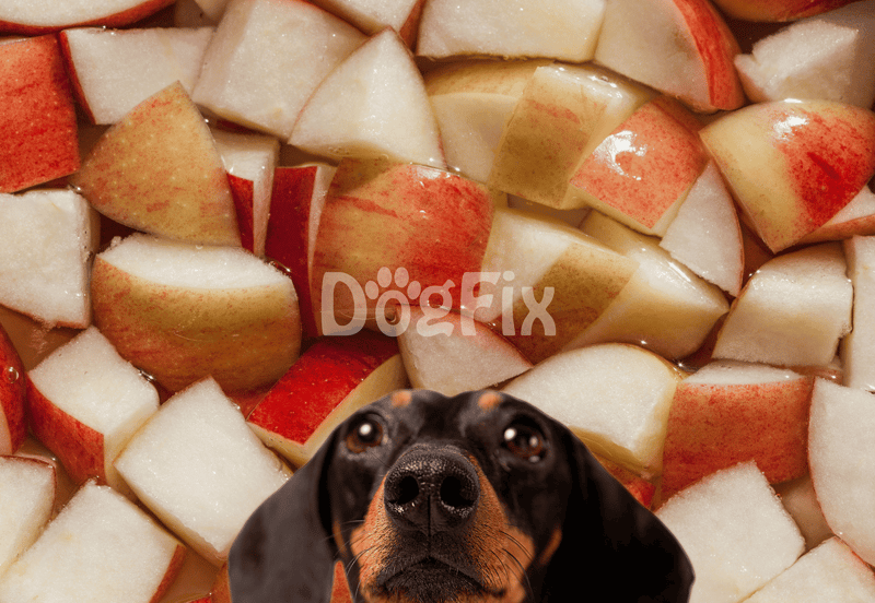 Close-up of chopped apples with a adorable black dog at the bottom, promoting healthy dog treats and snacks.