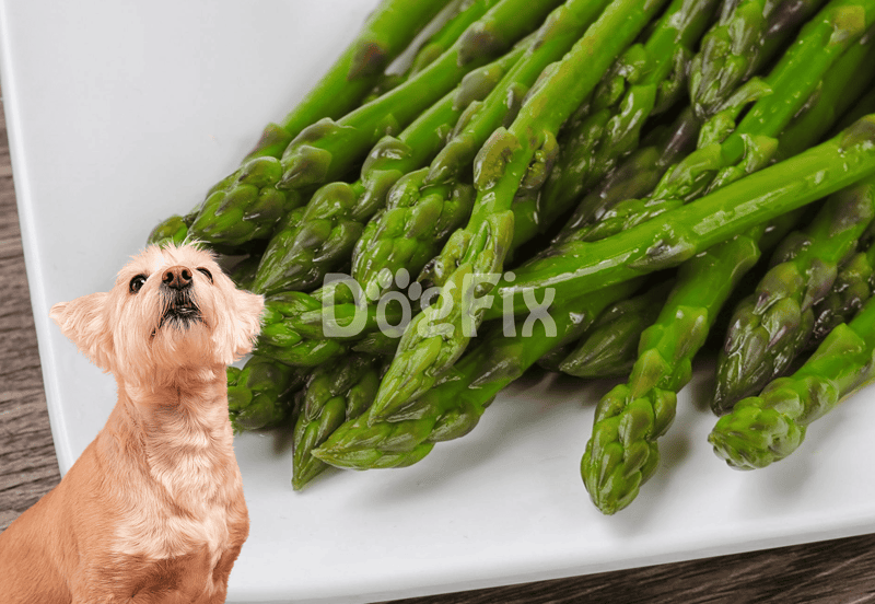 The Perfect Asparagus Prep and Portion