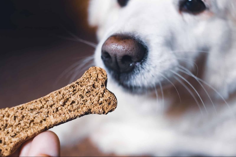 The Wonderful World of Doggie Treats