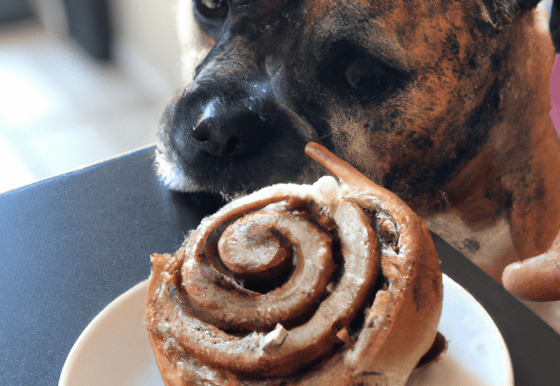 Dog licking cinnamon roll treat, showcasing pet-friendly snacks available at Dogfix.com.