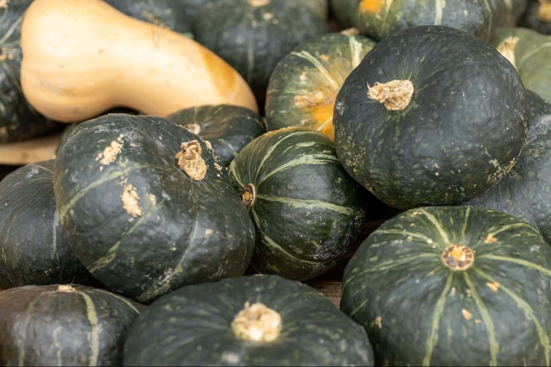 Fresh green and yellow pumpkins stacked outdoors, showcasing seasonal harvest abundance.