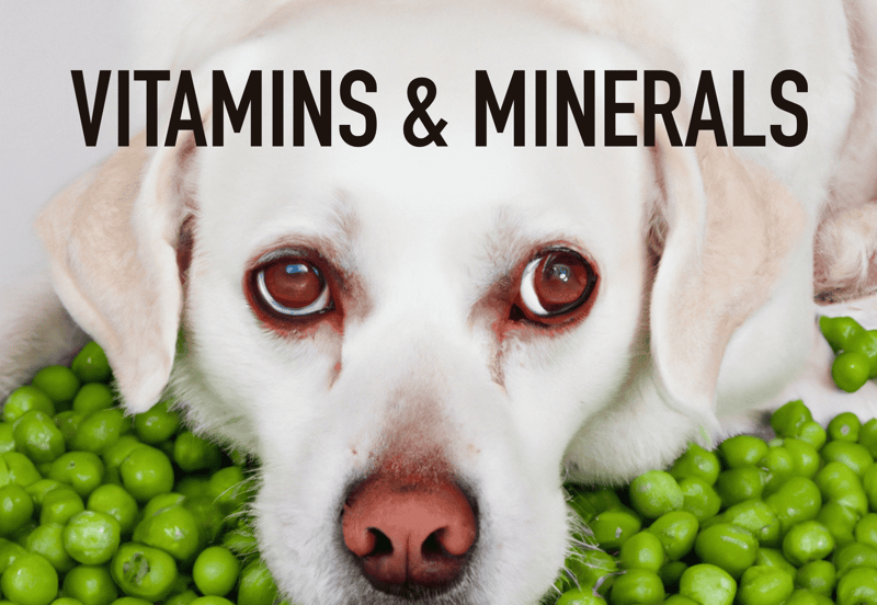 Vitamins and Minerals