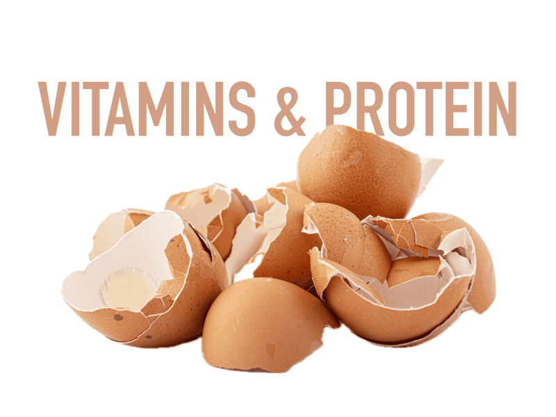 Vitamins and Protein