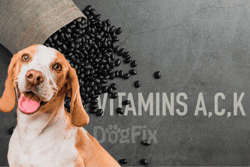 Dog supplements with essential vitamins for health and wellness.