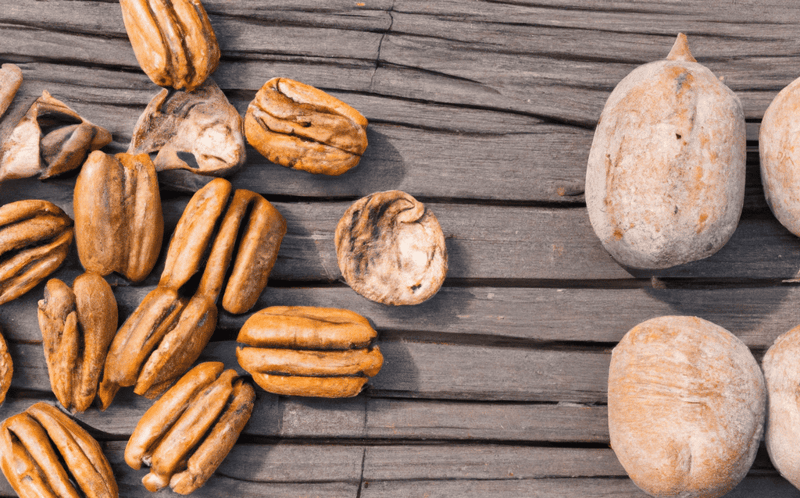 Walnuts Versus Pecans