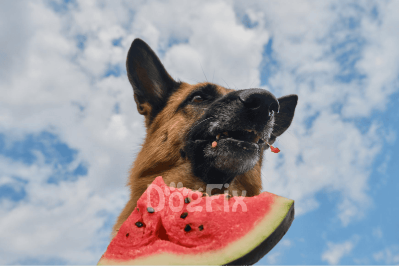 Watermelon A Hydration Station