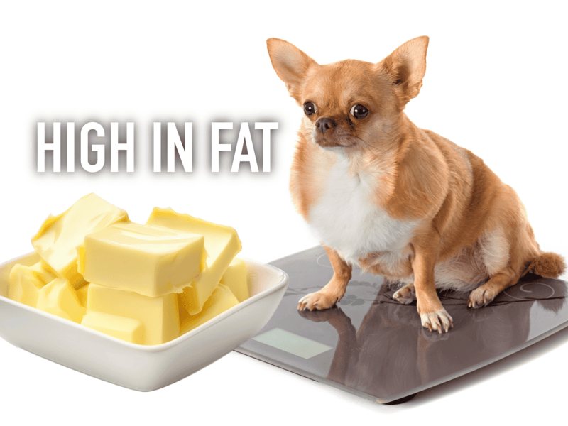 Weight and Obesity Issues