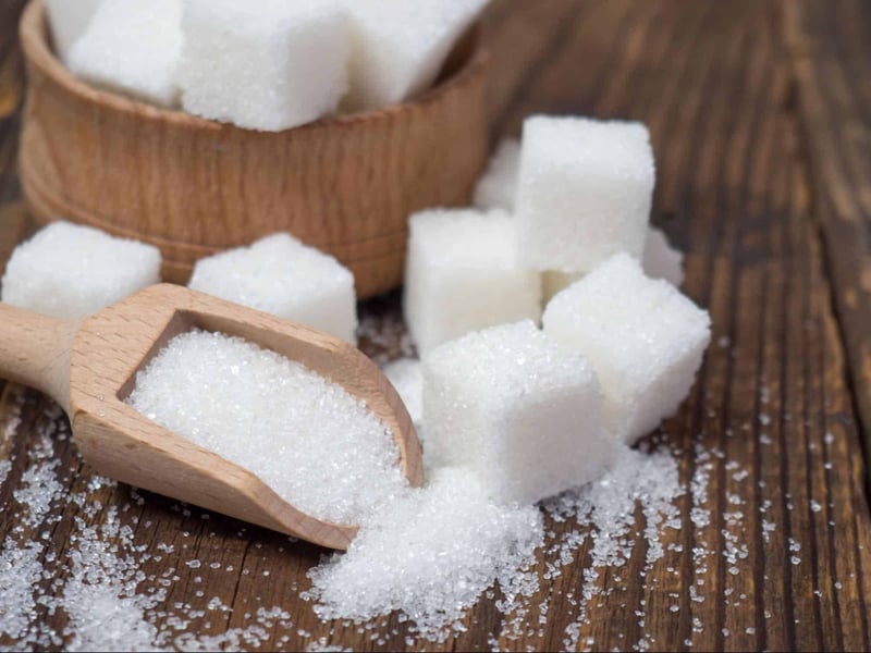 What Happens If Dogs Eat Too Much Sugar