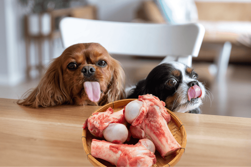 What You Need To Remember