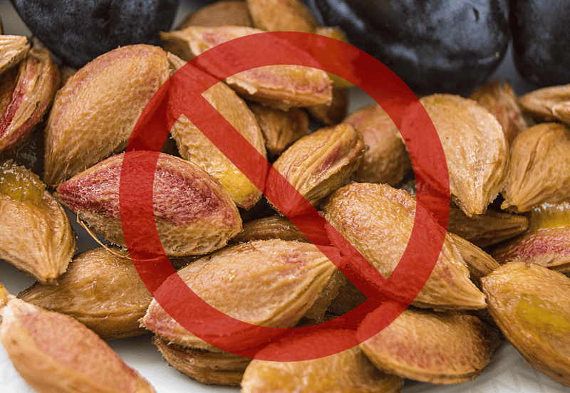 What are the toxic levels of plums for dogs