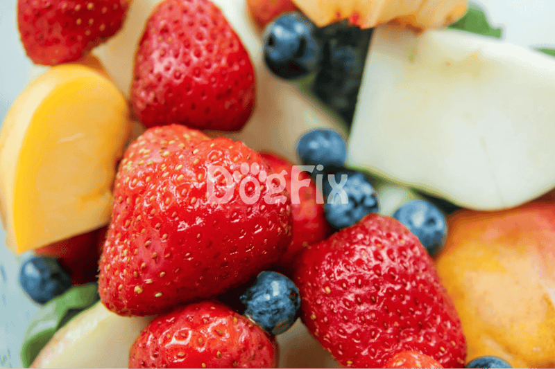 What fruits can be given to dogs daily