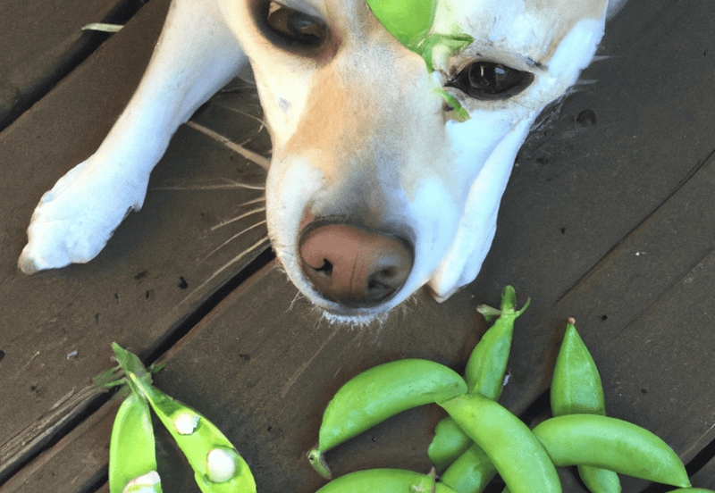 What is the recommended amount of peas for dogs