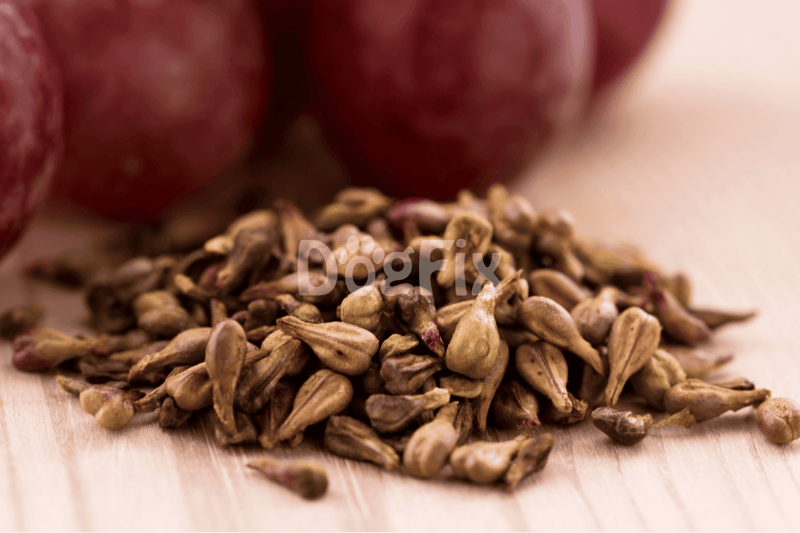 Sunflower seeds for healthy dog treats, with fresh grapes, promoting canine nutrition and wellness.