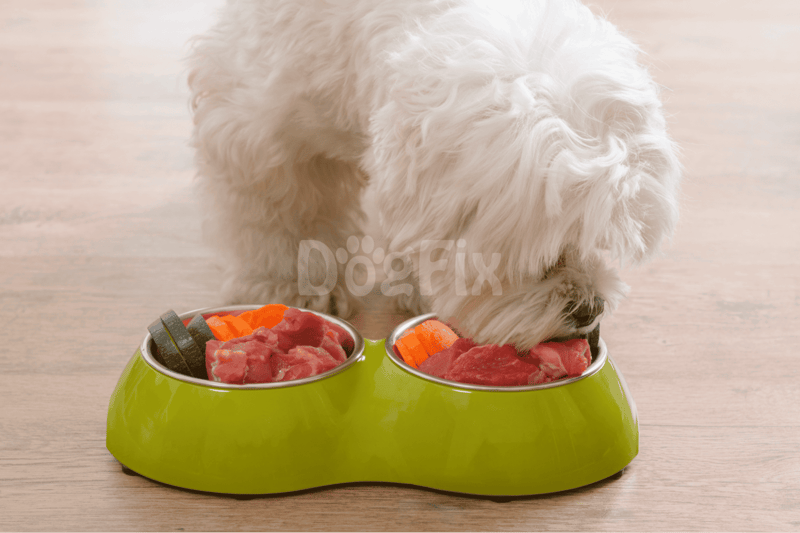 What raw meats can dogs eat